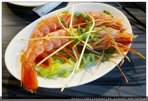 天使紅蝦 天使紅蝦