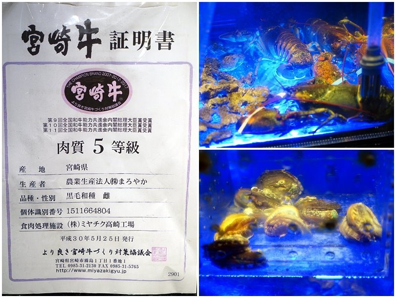 【台北火鍋推薦】好食多涮涮鍋(雙城店).超夢幻花好肉緣雙人套餐,超大肉盤好過癮!超萌牛奶熊、牛奶狗狗免費加湯;壽星獨享玫瑰松阪豬花或玫瑰軟絲,慶生聚餐都適合!