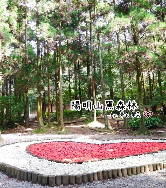 陽明山黑森林 陽明山黑森林