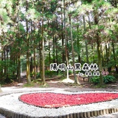 陽明山黑森林 陽明山黑森林