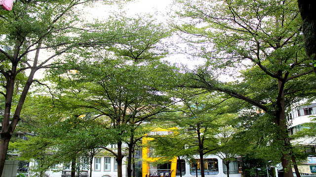 Oui Cafe 好咖啡台北南西店~最值得起立鼓掌的甜點!