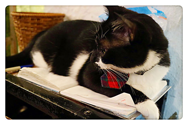 【台北美食】Toast Chat ~ 國父紀念館早午餐/下午茶、咖啡❤️用餐不限時間/環境舒適 - 捷運國父紀念館站