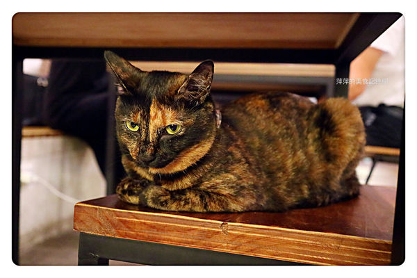 【台北美食】Toast Chat ~ 國父紀念館早午餐/下午茶、咖啡❤️用餐不限時間/環境舒適 - 捷運國父紀念館站