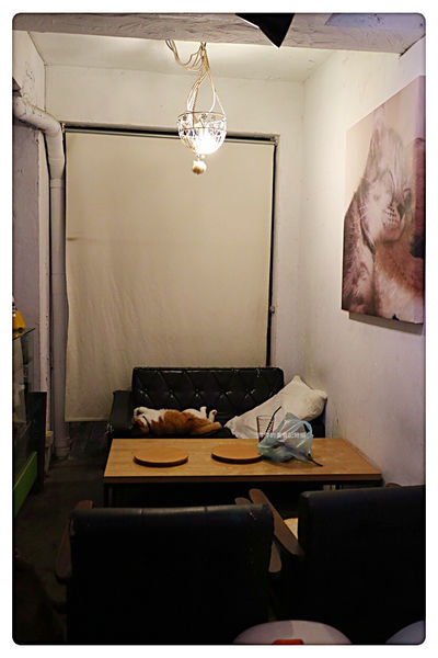 【台北美食】Toast Chat ~ 國父紀念館早午餐/下午茶、咖啡❤️用餐不限時間/環境舒適 - 捷運國父紀念館站