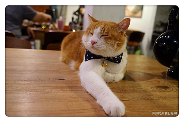 【台北美食】Toast Chat ~ 國父紀念館早午餐/下午茶、咖啡❤️用餐不限時間/環境舒適 - 捷運國父紀念館站