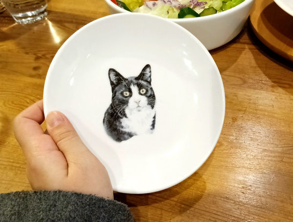 貓奴天堂!!捷運國父紀念館站Toast Chat~療癒系貓咪餐廳