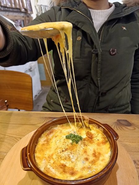 貓奴天堂!!捷運國父紀念館站Toast Chat~療癒系貓咪餐廳