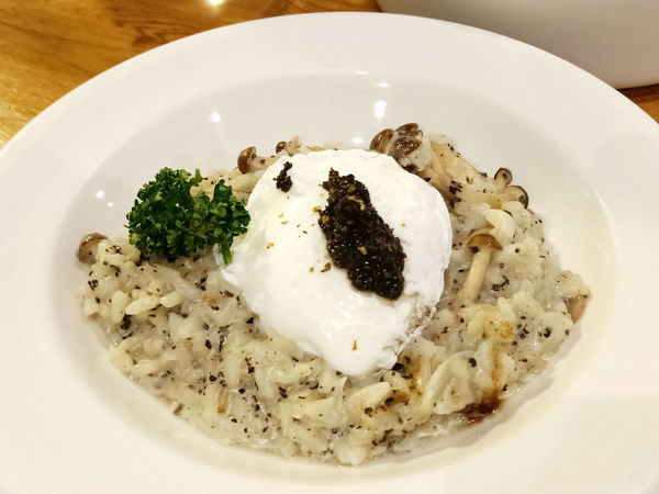 貓奴天堂!!捷運國父紀念館站Toast Chat~療癒系貓咪餐廳