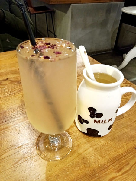 貓奴天堂!!捷運國父紀念館站Toast Chat~療癒系貓咪餐廳