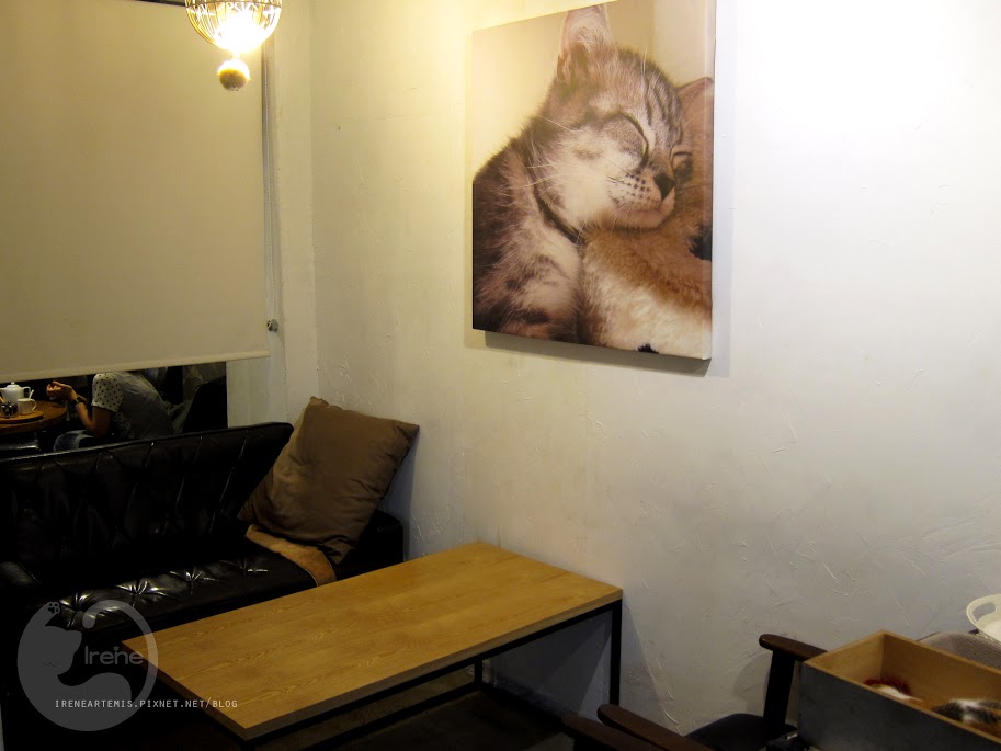 捷運國父紀念館站 | Toast Chat ．全天早午餐供應 / 貓咪餐廳