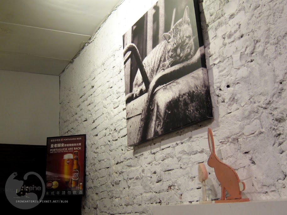 捷運國父紀念館站 | Toast Chat ．全天早午餐供應 / 貓咪餐廳