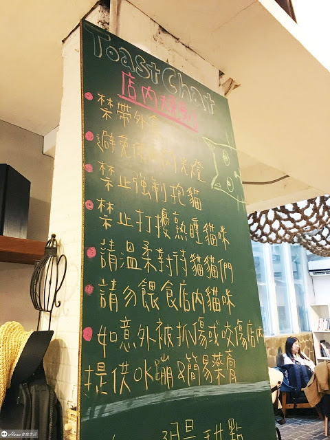 【台北大安】Toast Chat | 捷運國父紀念館站 無限時有插座 和貓咪陪伴的早午餐咖啡店 配菜必點炸雞