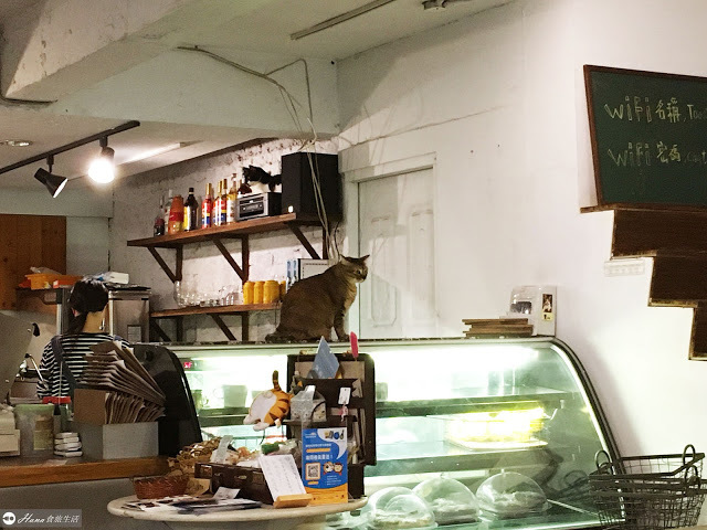 【台北大安】Toast Chat | 捷運國父紀念館站 無限時有插座 和貓咪陪伴的早午餐咖啡店 配菜必點炸雞