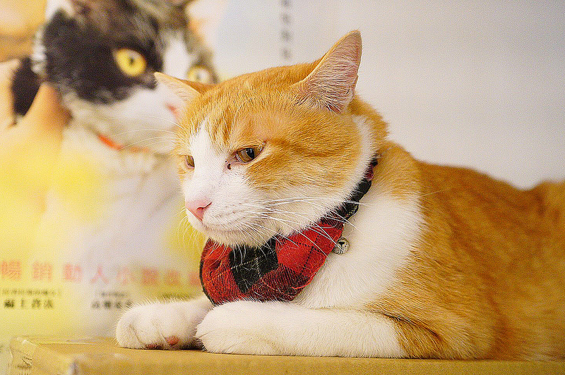 20190124_190208_0001