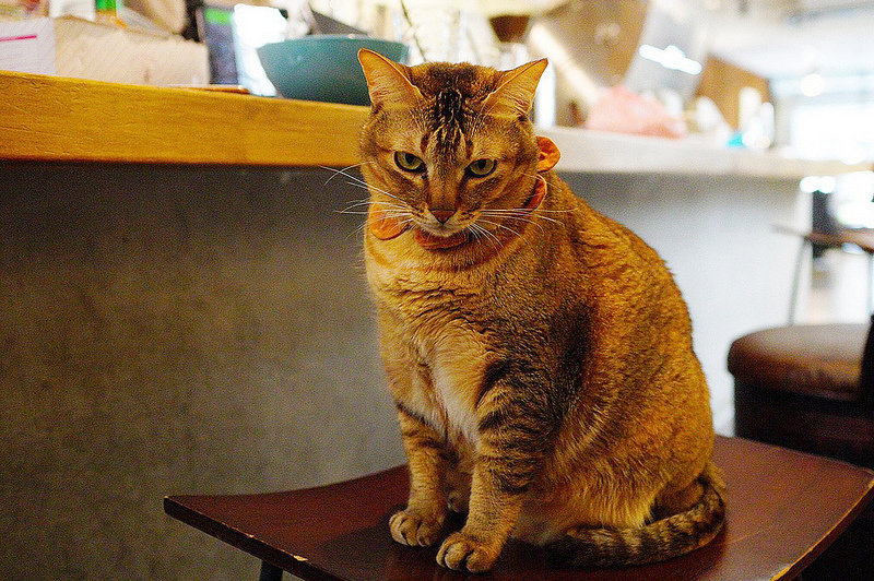 20190124_190208_0002