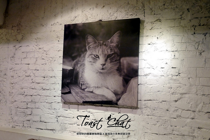 【台北】Toast Chat ~ 身為貓奴們一定會喜歡的超療癒喵星人咖啡餐館 / WIFI / 有插座 / 不限時 / 內附菜單
