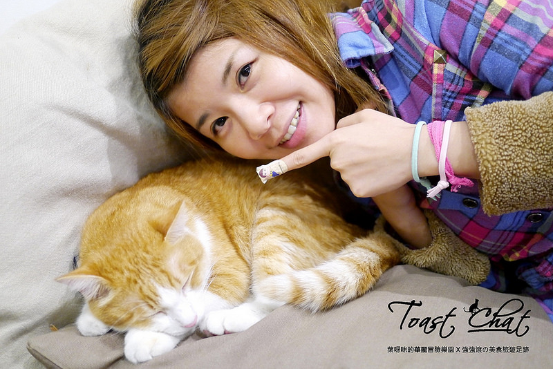 【台北】Toast Chat ~ 身為貓奴們一定會喜歡的超療癒喵星人咖啡餐館 / WIFI / 有插座 / 不限時 / 內附菜單