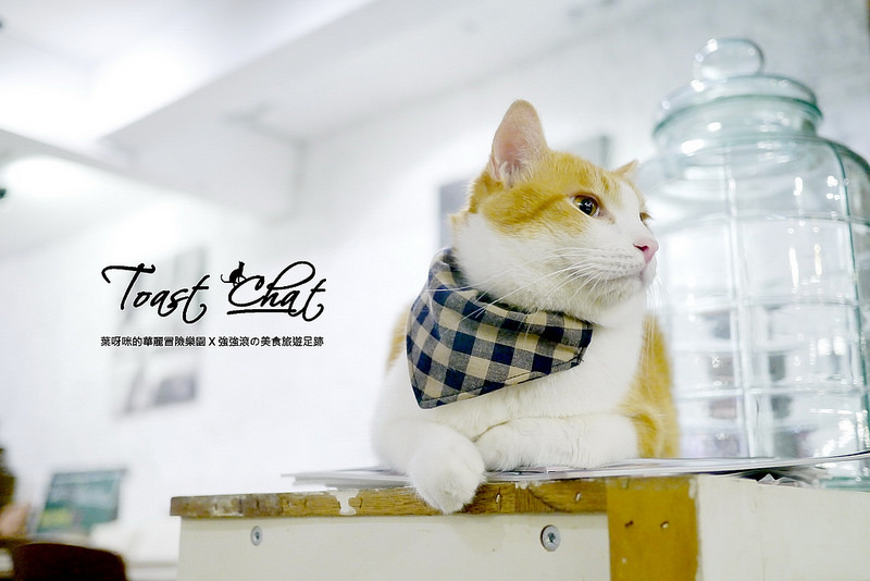 【台北】Toast Chat ~ 身為貓奴們一定會喜歡的超療癒喵星人咖啡餐館 / WIFI / 有插座 / 不限時 / 內附菜單