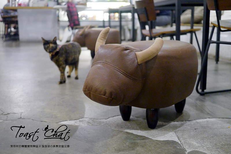 【台北】Toast Chat ~ 身為貓奴們一定會喜歡的超療癒喵星人咖啡餐館 / WIFI / 有插座 / 不限時 / 內附菜單