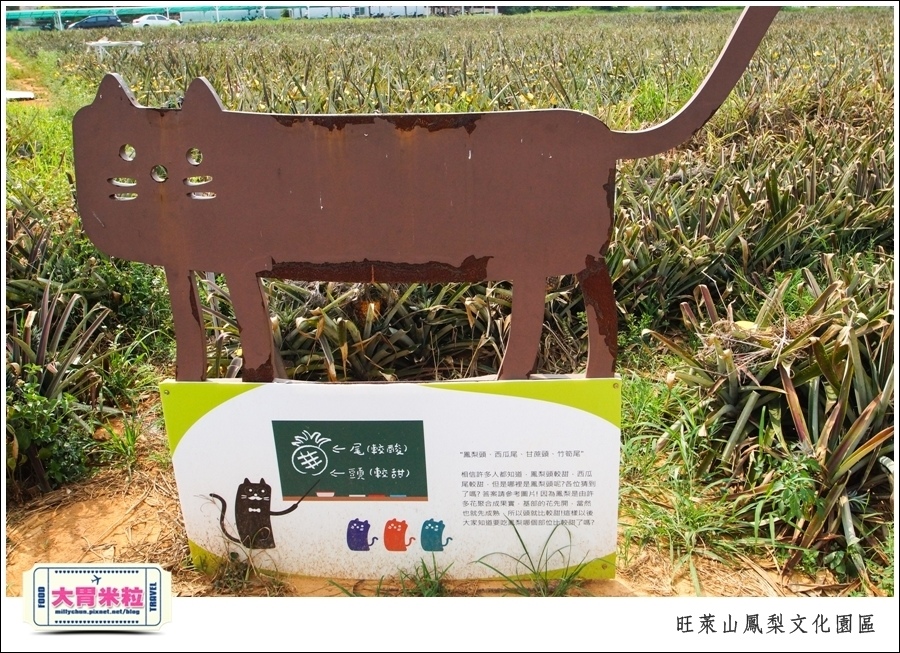 嘉義民雄旺萊山鳳梨酥文化園區@嘉義民雄必玩景點推薦@大胃米粒0071.jpg