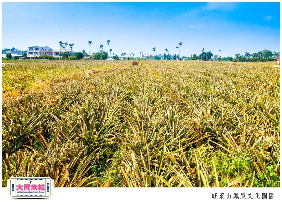 嘉義民雄旺萊山鳳梨酥文化園區@嘉義民雄必玩景點推薦@大胃米粒0060.jpg