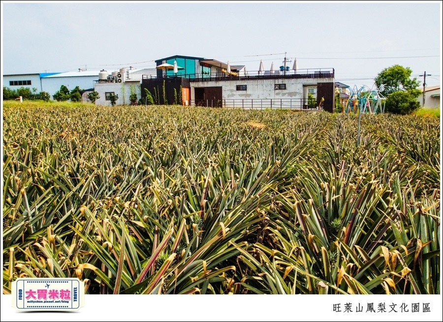 嘉義民雄旺萊山鳳梨酥文化園區@嘉義民雄必玩景點推薦@大胃米粒0073.jpg