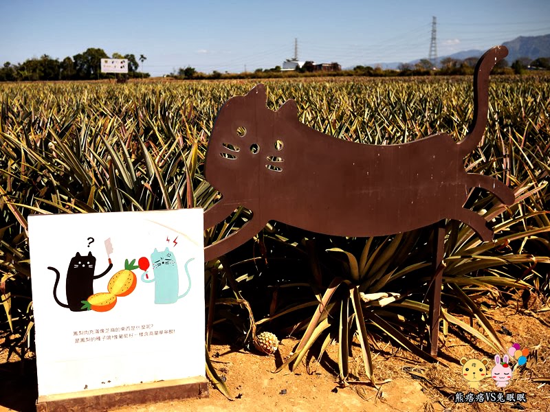 【神秘客初體驗】民雄旺萊山鳳梨文化園