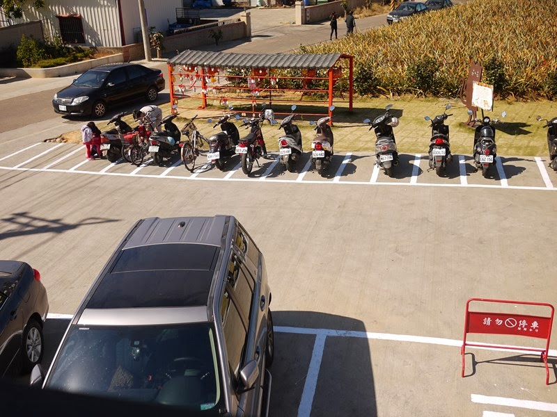 【神秘客初體驗】民雄旺萊山鳳梨文化園