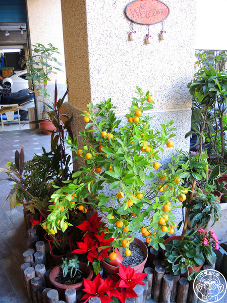 米多甜洋果子：呷飽祙【桃園中壢･米多甜洋果子】鄉村風幸福下午茶