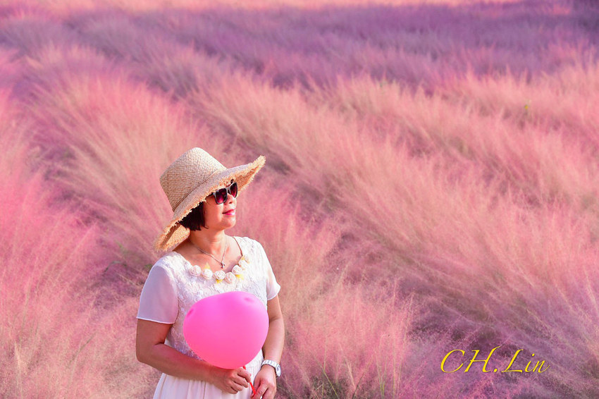 集集粉黛亂子草_200926_3