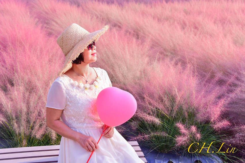 集集粉黛亂子草_200926_5