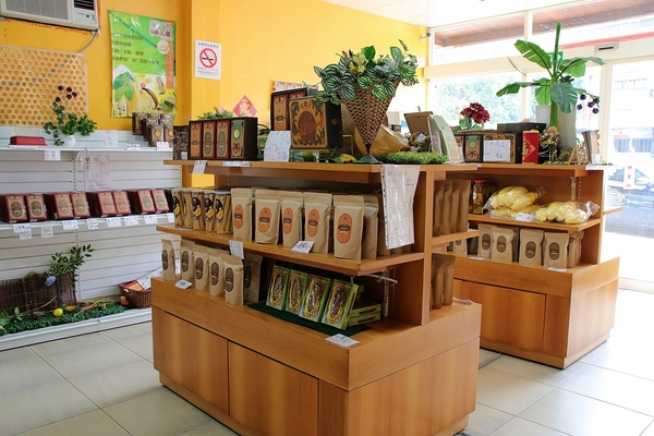 山蕉歷史文化館:【南投集集景點】山蕉歷史文化館~騎腳踏車遊集集香蕉趣 山蕉歷史文化館:【南投集集景點】山蕉歷史文化館~騎腳踏車遊集集香蕉趣