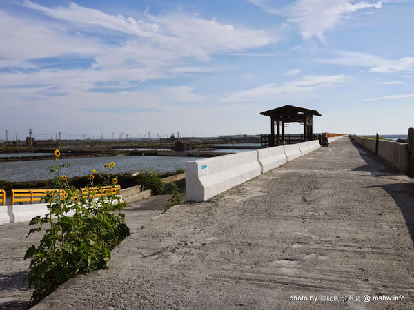 乳牛彩繪村:【景點】彰化Fubow Wetland 福寶濕地-教育生態園區&乳牛彩繪村@福興福寶村 : 海賊王山寨風彩繪, 記得做好防曬喔… 乳牛彩繪村:【景點】彰化Fubow Wetland 福寶濕地-教育生態園區&乳牛彩繪村@福興福寶村 : 海賊王山寨風彩繪, 記得做好防曬喔…