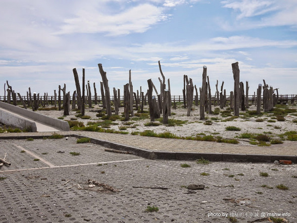 乳牛彩繪村:【景點】彰化Fubow Wetland 福寶濕地-教育生態園區&乳牛彩繪村@福興福寶村 : 海賊王山寨風彩繪, 記得做好防曬喔… 乳牛彩繪村:【景點】彰化Fubow Wetland 福寶濕地-教育生態園區&乳牛彩繪村@福興福寶村 : 海賊王山寨風彩繪, 記得做好防曬喔…