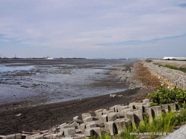乳牛彩繪村:【景點】彰化Fubow Wetland 福寶濕地-教育生態園區&乳牛彩繪村@福興福寶村 : 海賊王山寨風彩繪, 記得做好防曬喔… 乳牛彩繪村:【景點】彰化Fubow Wetland 福寶濕地-教育生態園區&乳牛彩繪村@福興福寶村 : 海賊王山寨風彩繪, 記得做好防曬喔…