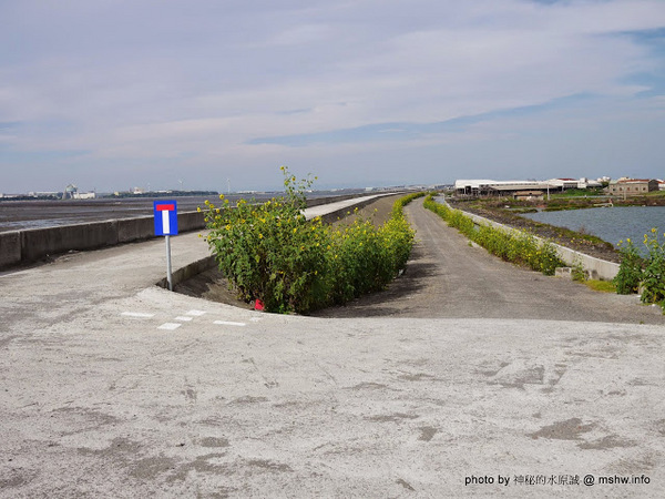 乳牛彩繪村:【景點】彰化Fubow Wetland 福寶濕地-教育生態園區&乳牛彩繪村@福興福寶村 : 海賊王山寨風彩繪, 記得做好防曬喔… 乳牛彩繪村:【景點】彰化Fubow Wetland 福寶濕地-教育生態園區&乳牛彩繪村@福興福寶村 : 海賊王山寨風彩繪, 記得做好防曬喔…