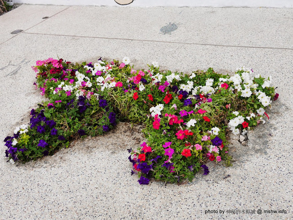 乳牛彩繪村:【景點】彰化Fubow Wetland 福寶濕地-教育生態園區&乳牛彩繪村@福興福寶村 : 海賊王山寨風彩繪, 記得做好防曬喔… 乳牛彩繪村:【景點】彰化Fubow Wetland 福寶濕地-教育生態園區&乳牛彩繪村@福興福寶村 : 海賊王山寨風彩繪, 記得做好防曬喔…