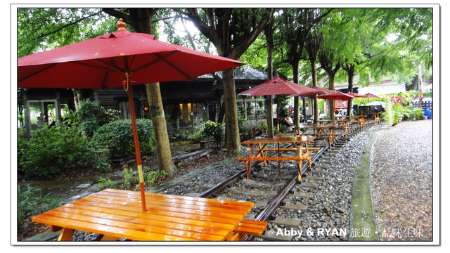 【彰化景點】乳牛彩繪村～彰化也有藍晒圖！！數百隻的彩色小牛等你來發現哦～連貓的顏色也是乳牛色耶！～