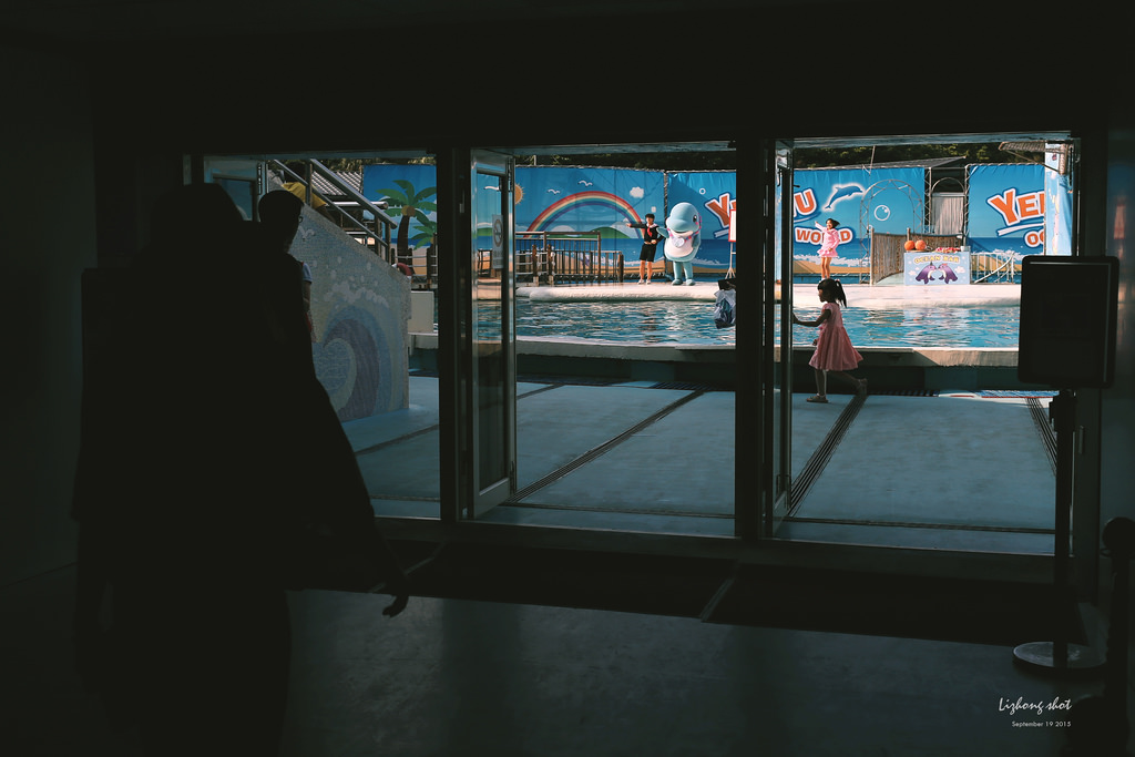 野柳海洋世界散步 野柳海洋世界散步