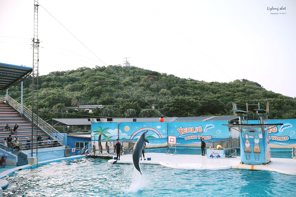 野柳海洋世界散步 野柳海洋世界散步