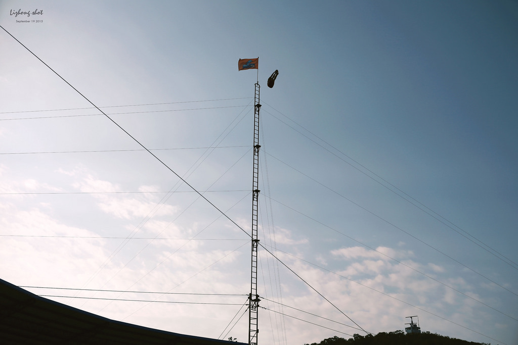 野柳海洋世界散步 野柳海洋世界散步