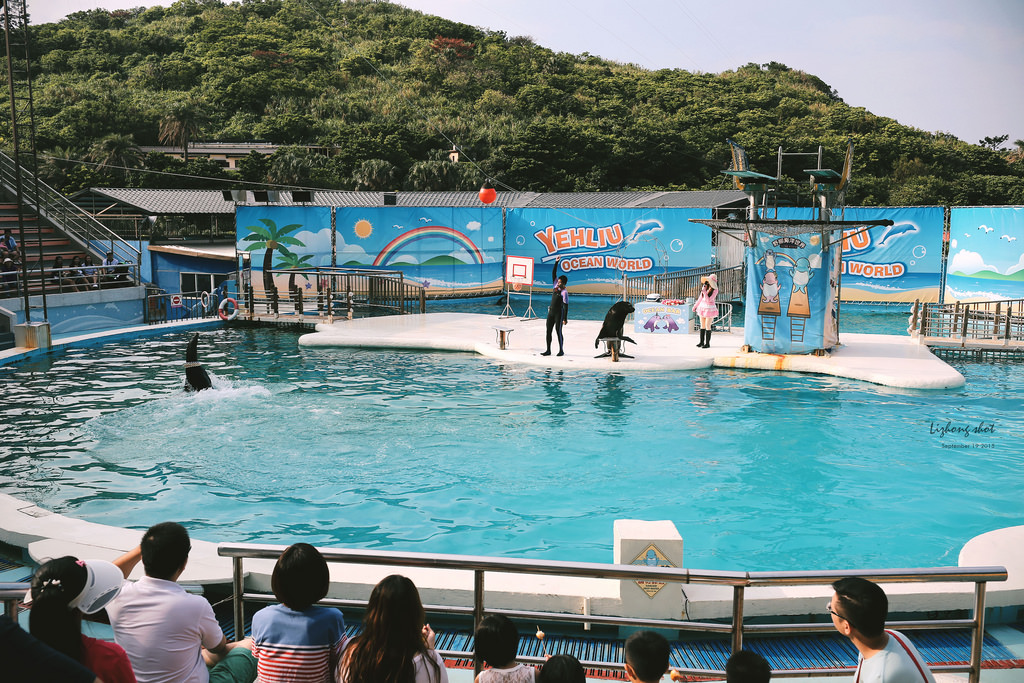 野柳海洋世界散步 野柳海洋世界散步