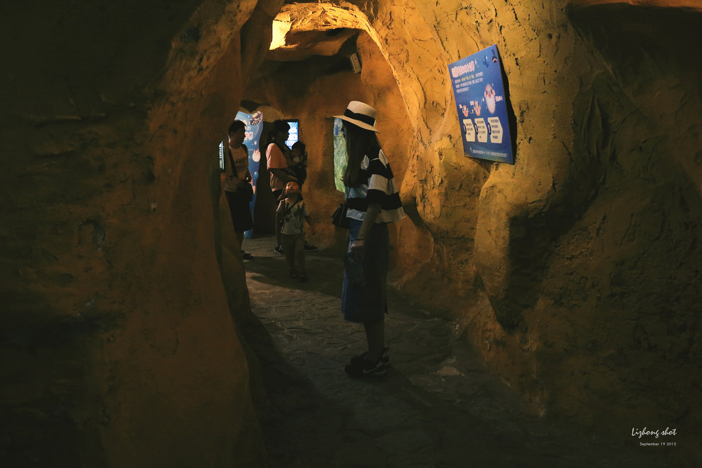 野柳海洋世界散步 野柳海洋世界散步