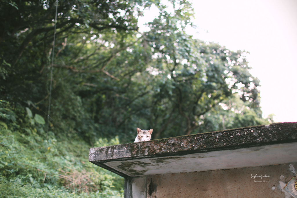 野柳海洋世界散步 野柳海洋世界散步