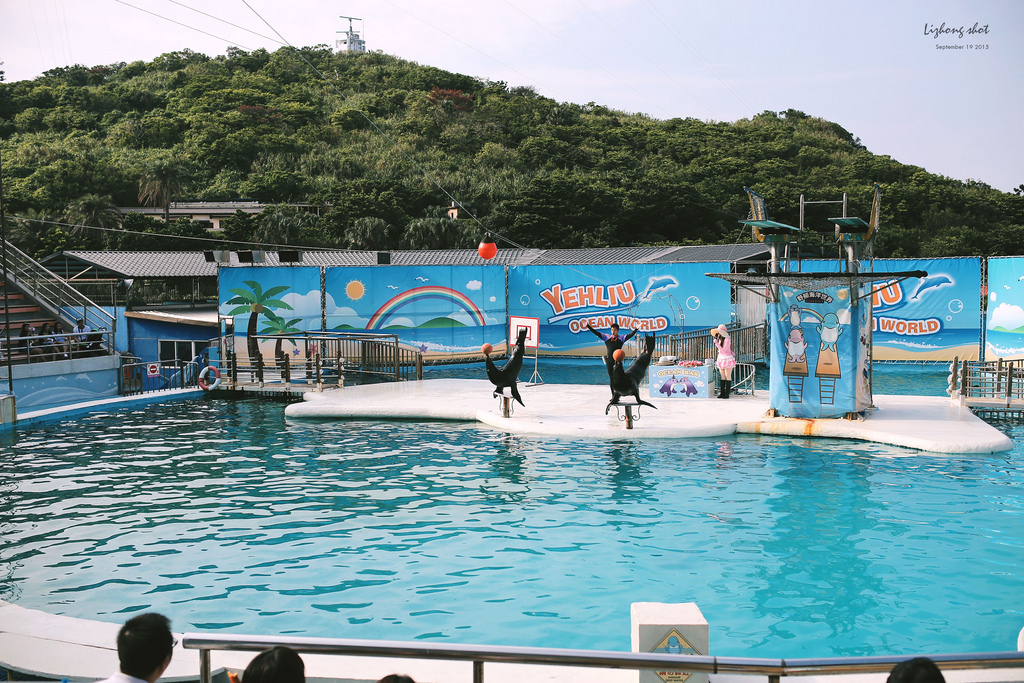 野柳海洋世界散步 野柳海洋世界散步