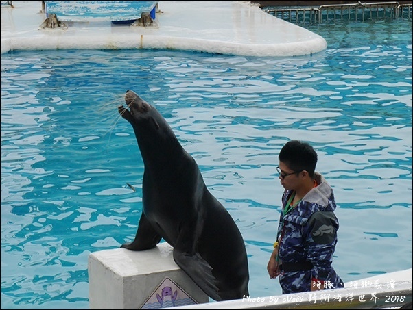 野柳海洋世界-31.jpg