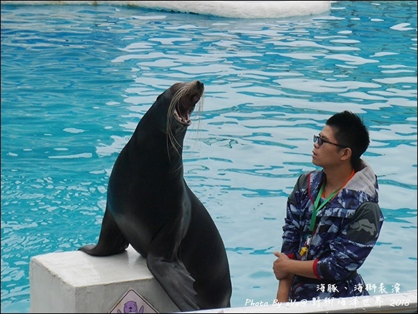 野柳海洋世界-33.jpg