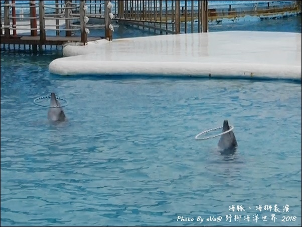 野柳海洋世界-42.jpg