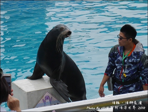 野柳海洋世界-32.jpg