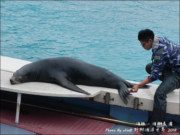 野柳海洋世界-34.jpg